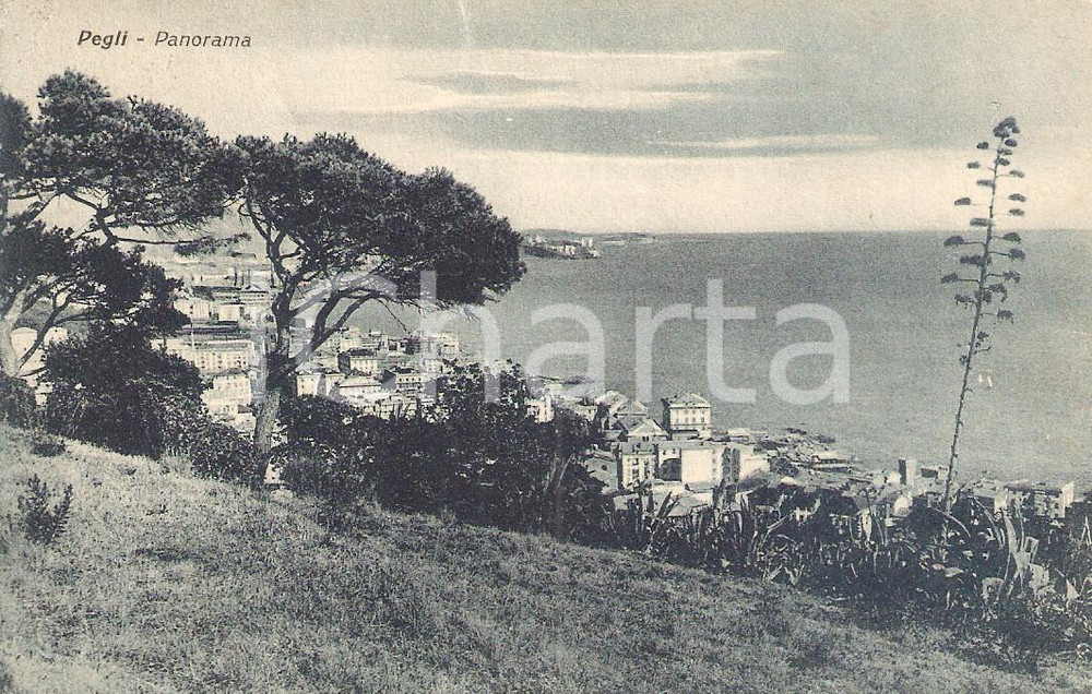 Cartolina originale da collezione 1930 ca GENOVA PEGLI Panorama verso il mare Cartolina FP VG 1