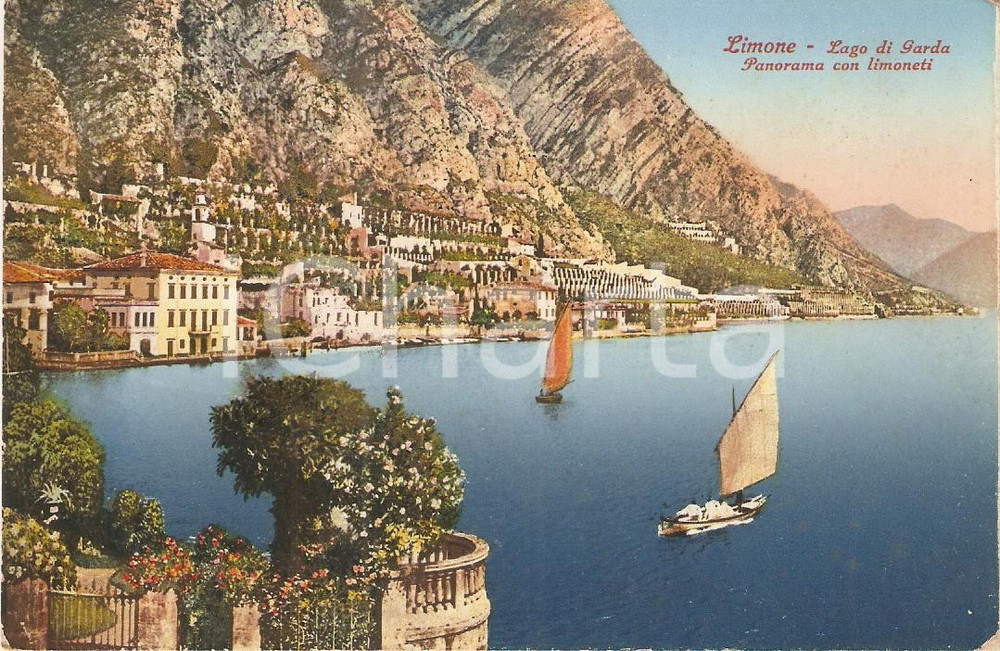 Cartolina originale da collezione 1937 LIMONE SUL GARDA (BS) Panorama del Lago con limoneti *Cartolina FP VG 1