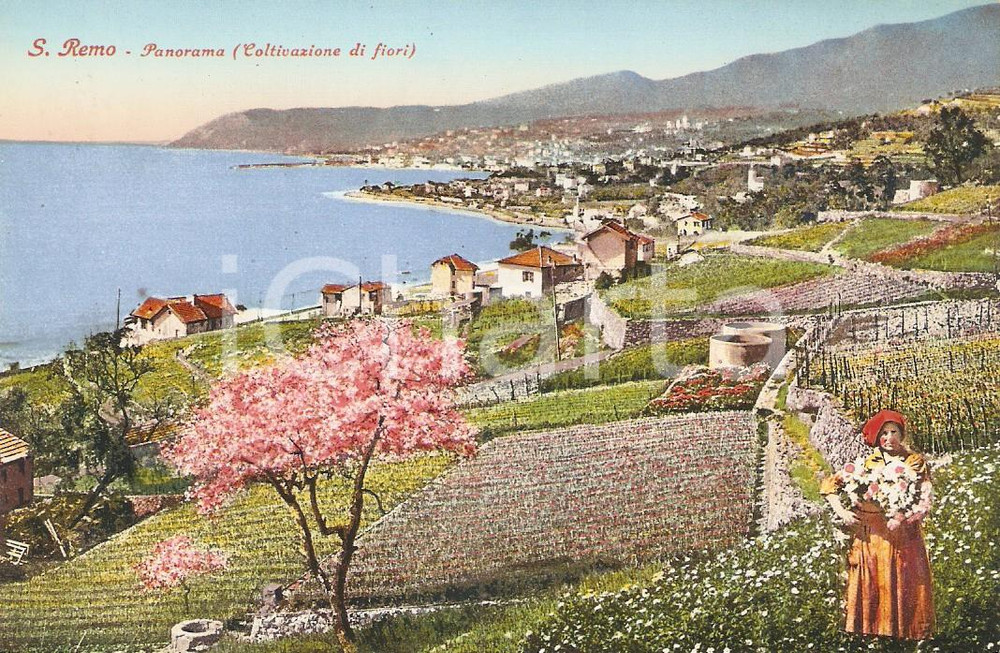 Cartolina originale da collezione 1935 ca SANREMO (IM) Panorama con coltivazioni di fiori *Cartolina FP NV 1