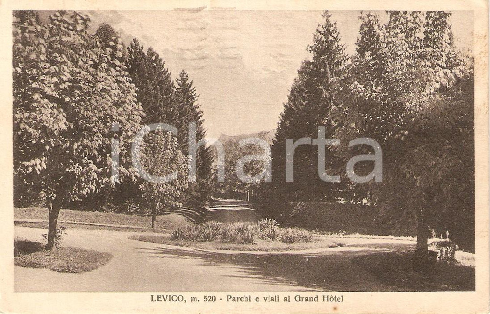 Cartolina originale da collezione 1935 LEVICO TERME (TN) Parchi e viali al Grand Hotel *Cartolina FP VG 1