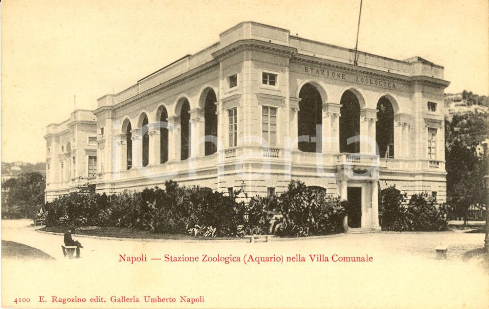 Cartolina originale da collezione 1900 ca NAPOLI Stazione zoologica acquario nel parco della Villa comunale FP 1