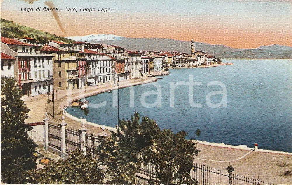 Cartolina originale da collezione 1925 ca SALO' (BS) Panorama con LAGO DI GARDA *Cartolina FP NV 1