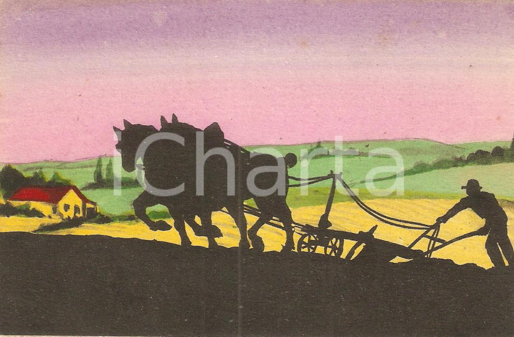Cartolina originale da collezione 1950 ca FRANCE Contadino ara i terreni all'alba *Cartolina ILLUSTRATA 1