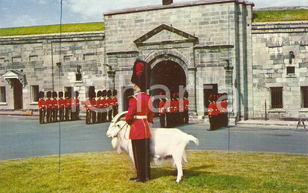 Cartolina originale da collezione 1960 ca QUEBEC CANADA Changing of the guard at LA CITADELLE Cartolina FP NV 1
