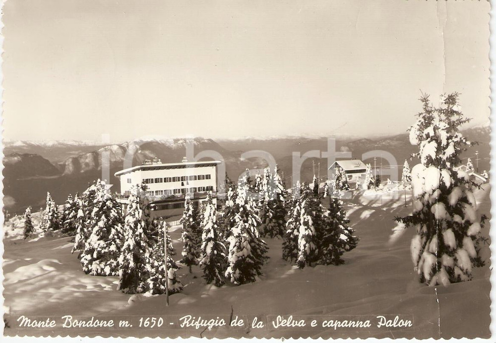 Cartolina originale da collezione 1950 MONTE BONDONE (TN) Rifugio de la Selva e capanna Palon *DANNEGGIATA FG VG 1