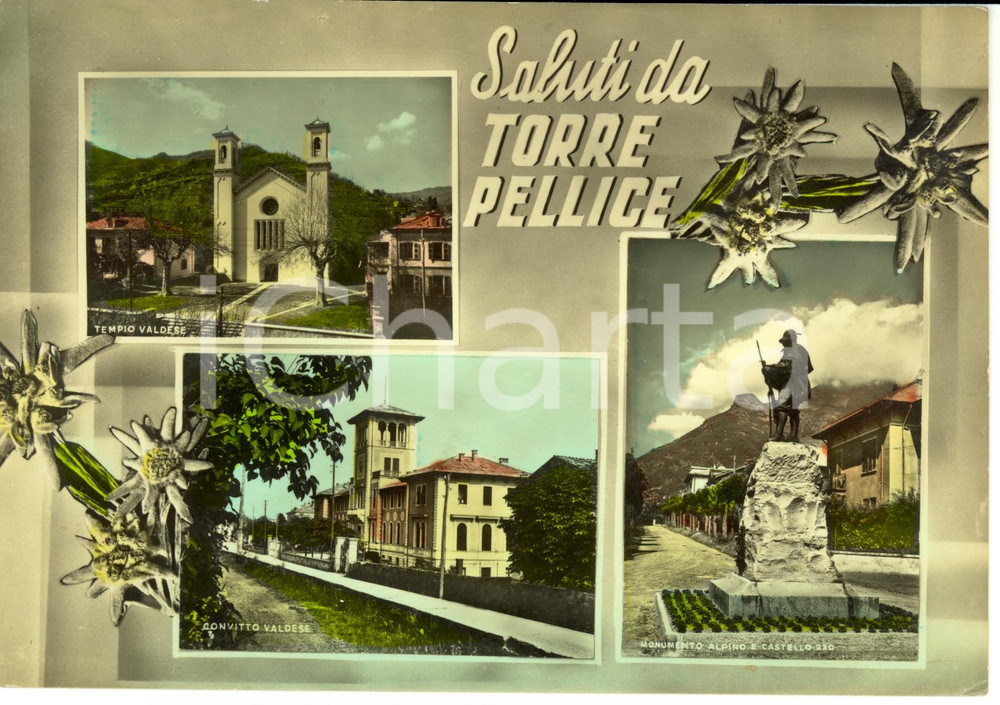 Cartolina originale da collezione 1950 ca TORRE PELLICE TO Vedutine Tempio e Convitto VALDESI Cartolina FG NV 1