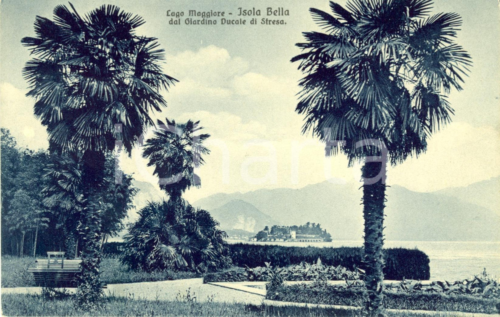 Cartolina originale da collezione 1915 ca STRESA (VB) Veduta dell'Isola BELLA dal Giardino Ducale *Cartolina NV 1