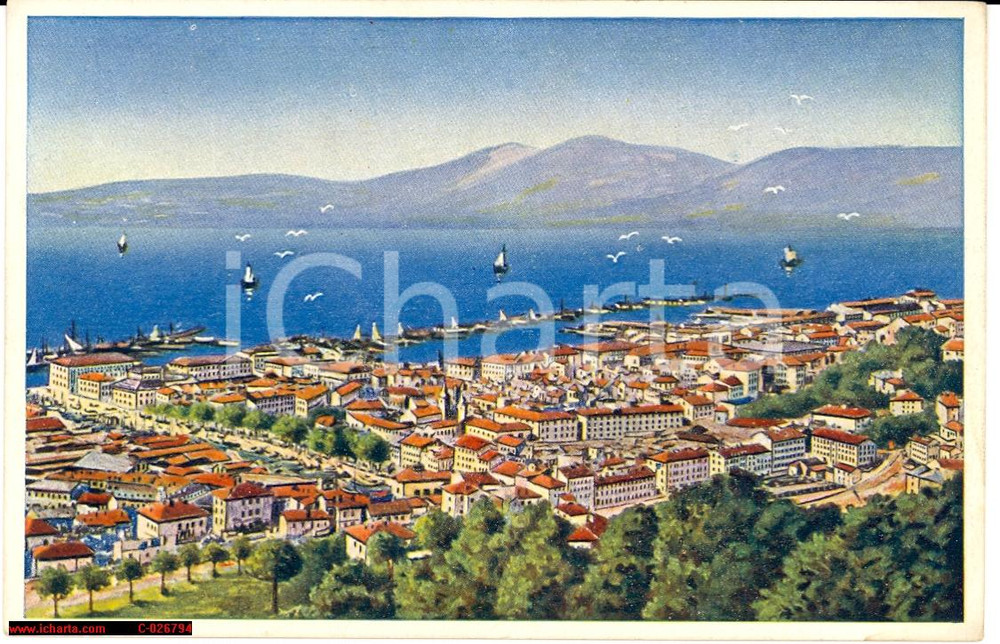 Cartolina originale da collezione 1915 FIUME (ISTRIA) Scorcio panoramico dall'alto ANIMATA *Cartolina FP NV 1
