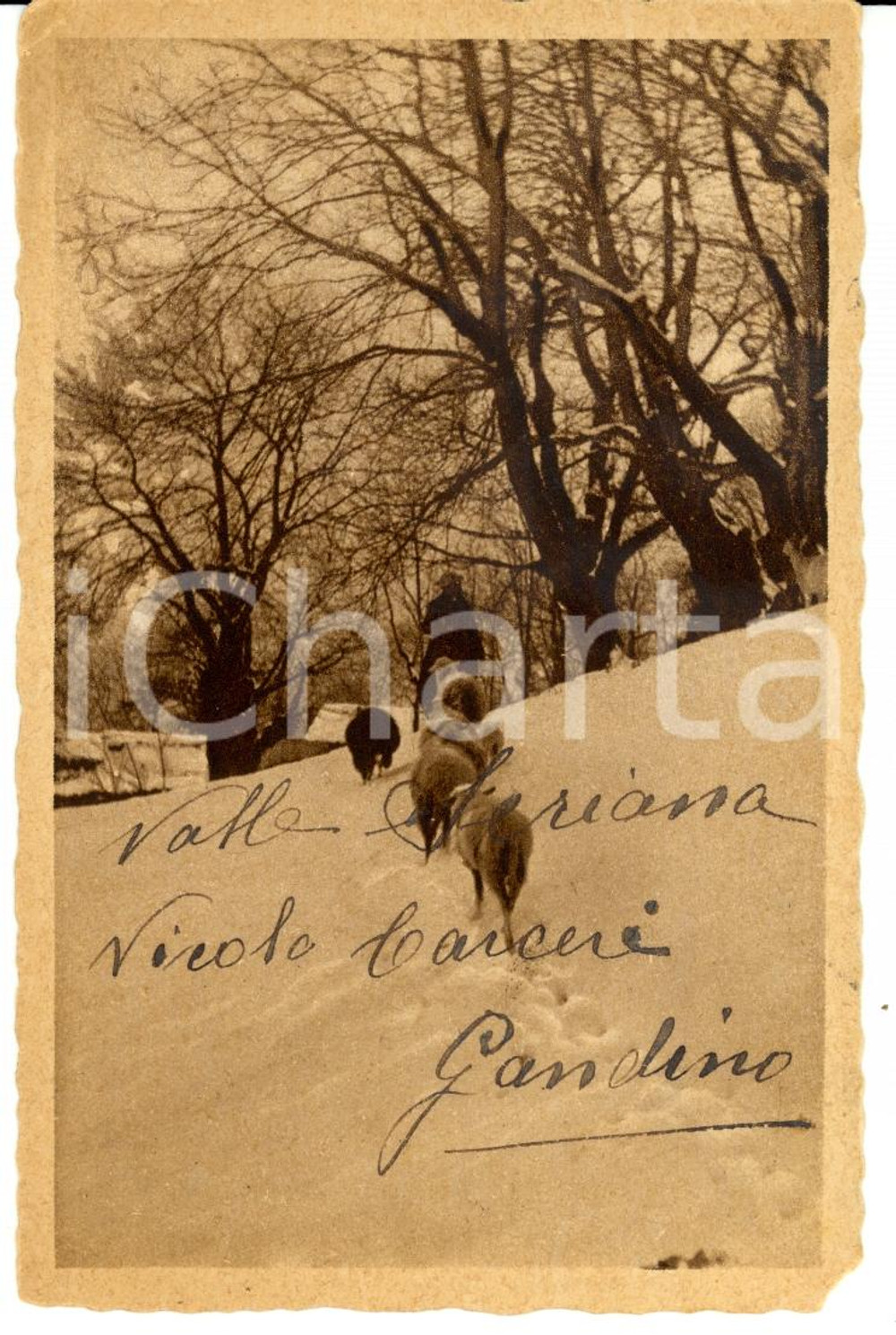 Cartolina originale da collezione 1937 VALLE SERIANA GANDINO (BG) Panorama innevato *Cartolina DANNEGGIATA 1