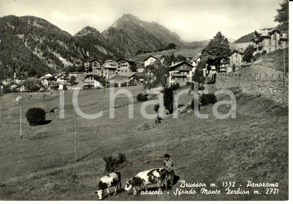 Cartolina originale da collezione 1957 BRUSSON (AO) Panorama e pascoli - Sfondo Monte Zerbion *Cartolina FG VG 1