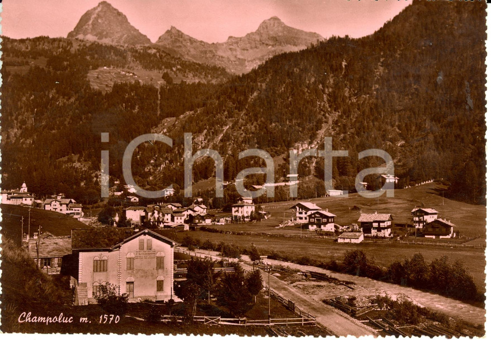 Cartolina originale da collezione 1952 CHAMPOLUC (AO) Panorama - nello sfondo la Testa Grigia *Cartolina FG VG 1