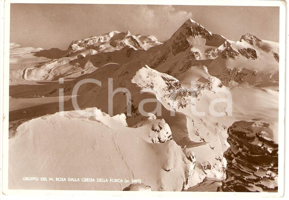 Cartolina originale da collezione 1938 MONTE ROSA (AO) Veduta dalla Cresta della Forca *Cartolina postale FG VG 1