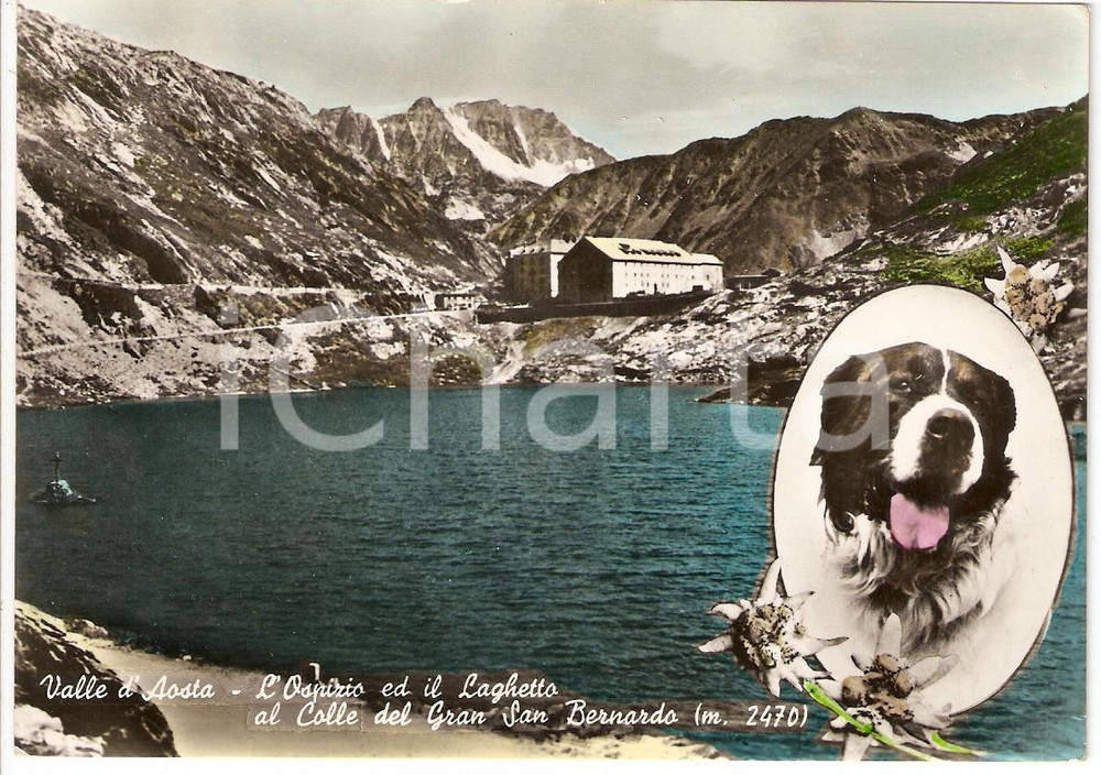 Cartolina originale da collezione 1955 COLLE DEL GRAN S.BERNARDO (AO) Ospizio e laghetto *Cartolina postale FG VG 1