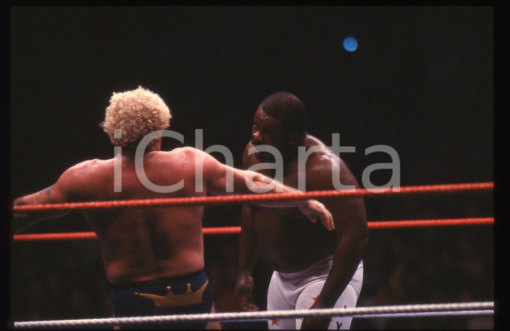35mm vintage slide* 1987 MILANO WWF House Show THE KING vs JUNKYARD DOG (6)