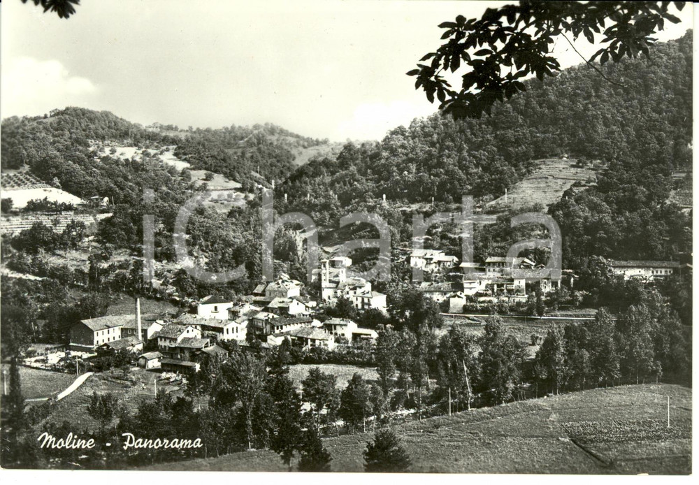 Cartolina originale da collezione 1950 ca MOLINE CN Panorama Cartolina postale FG NV 1
