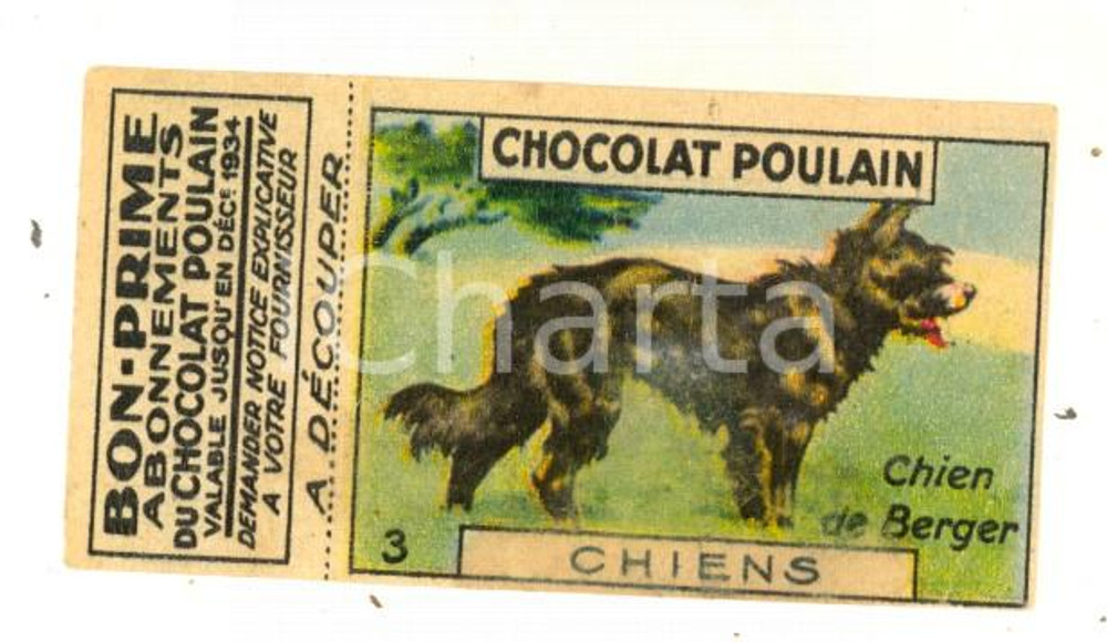 Materiale pubblicitario d’epoca 1934 CHOCOLAT POULAIN Buono premio con figurina CHIEN DE BERGER *Pubblicitario 1