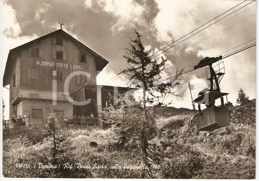 Cartolina originale da collezione 1957 PAGANELLA TN Rifugio Dosso Larici Cartolina postale FG VG 1