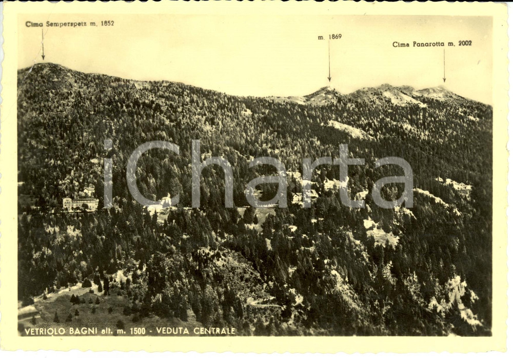 Cartolina originale da collezione 1951 VETRIOLO BAGNI (TN) Veduta centrale *Cartolina postale FG VG 1