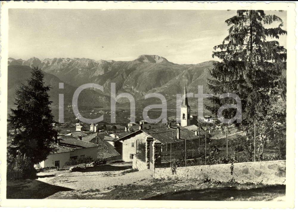 Cartolina originale da collezione 1954 COREDO TN Monte Peller Cartolina postale FG VG 1