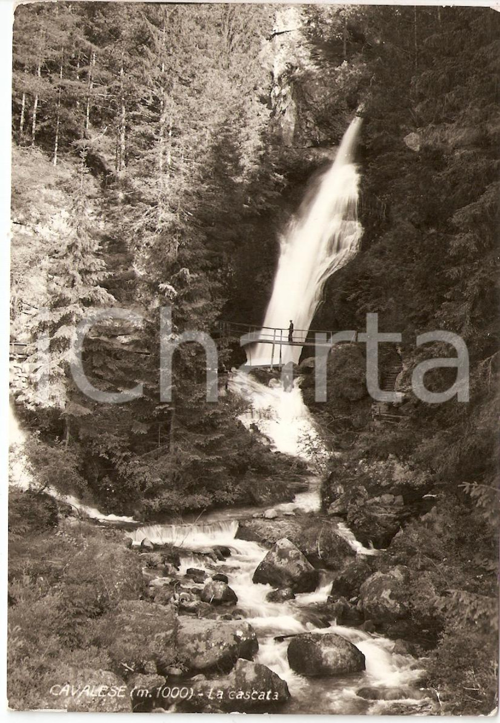 Cartolina originale da collezione 1959 CAVALESE (TN) La cascata *Cartolina postale FG VG ANIMATA 1