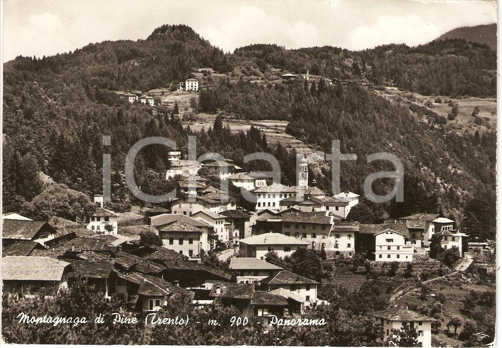 Cartolina originale da collezione 1972 MONTAGNAGA DI PINE' (TN) Panorama *Cartolina postale FG VG 1