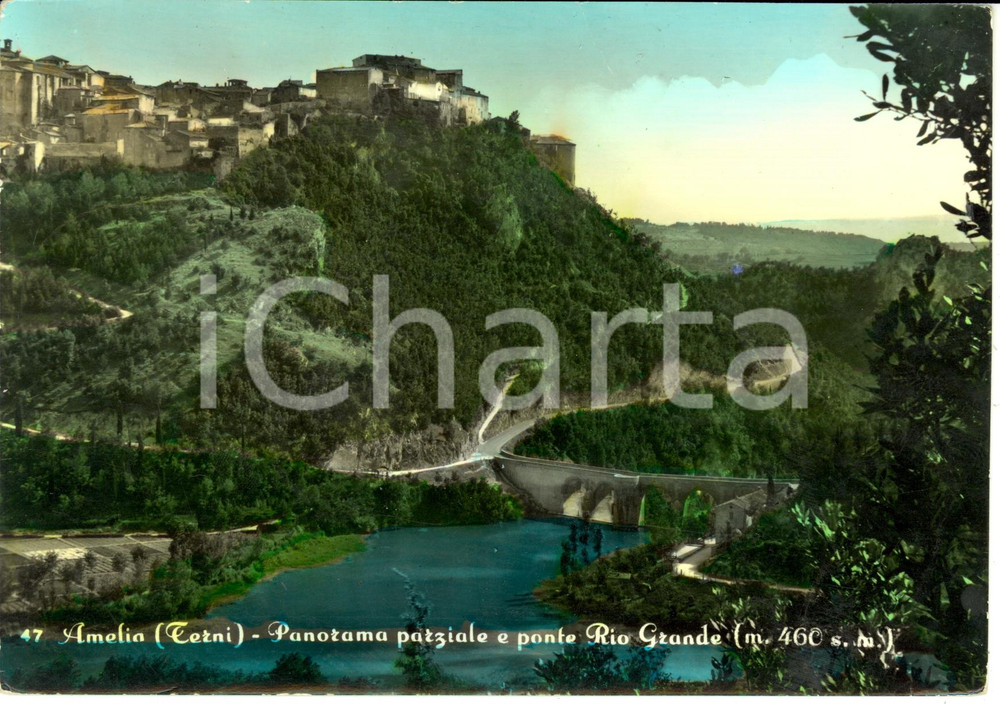 Cartolina originale da collezione 1959 AMELIA (TR) Panorama parziale e ponte Rio Grande *Cartolina postale FG VG 1