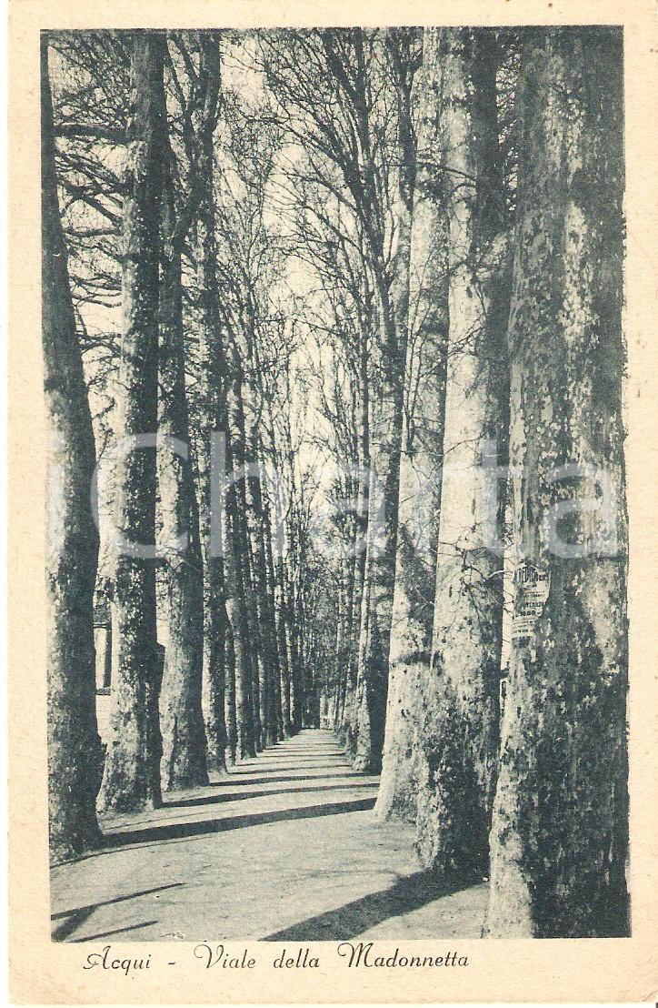 Cartolina originale da collezione 1935 ca ACQUI TERME AL Viale della Madonnetta Cartolina FP NV 1