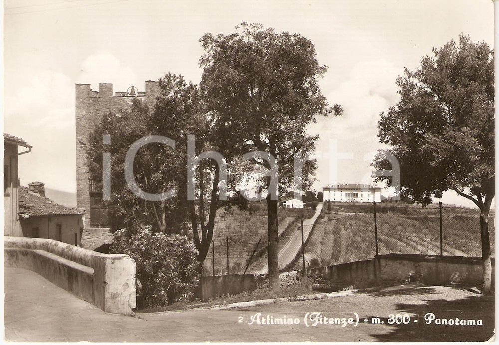 Cartolina originale da collezione 1950 ca CARMIGNANO PO Frazione ARTIMINO scorcio panoramico Cartolina FG NV 1