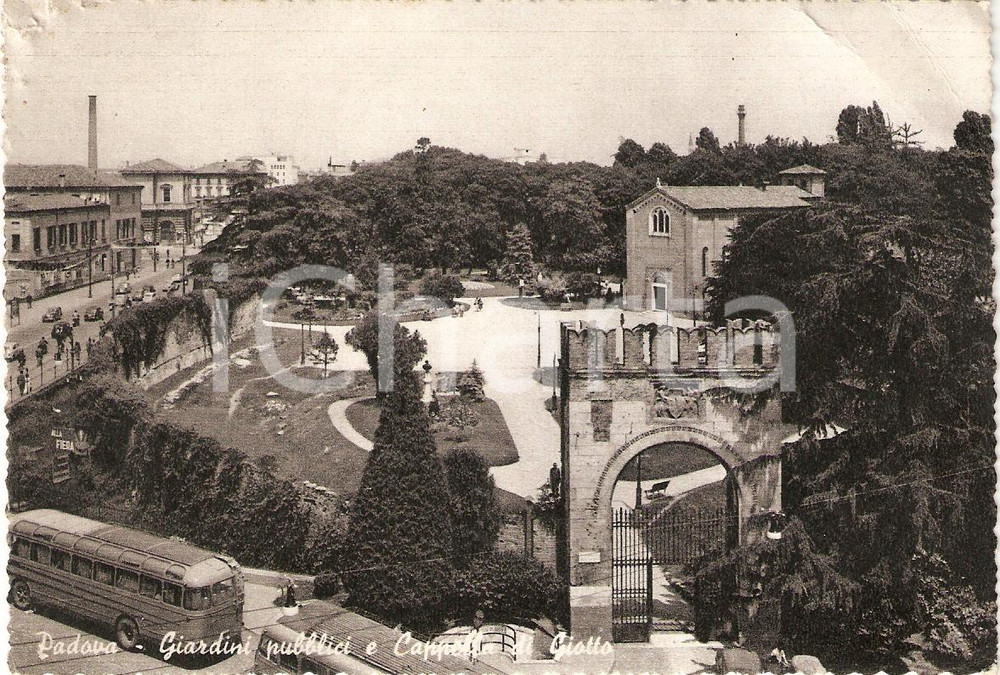 Cartolina originale da collezione 1961 PADOVA Autobus ai Giardini pubblici e Cappella di GIOTTO Cartolina FG VG 1