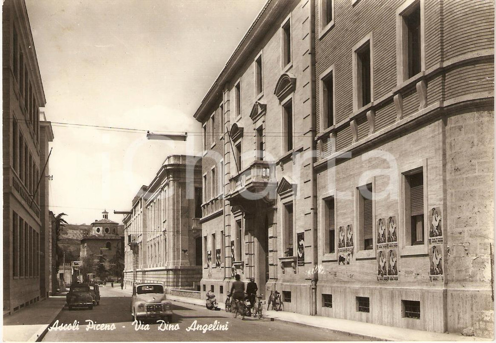 Cartolina originale da collezione 1962 ASCOLI PICENO Via Dino ANGELINI Manifesti FIERA AGRICOLA Cartolina FG VG 1