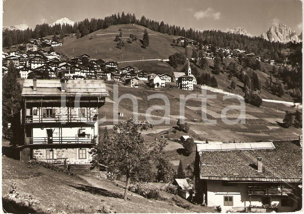 Cartolina originale da collezione 1968 FALCADE (BL) Panorama Frazioni FALCADE ALTO e SOMOR *Cartolina FG VG 1