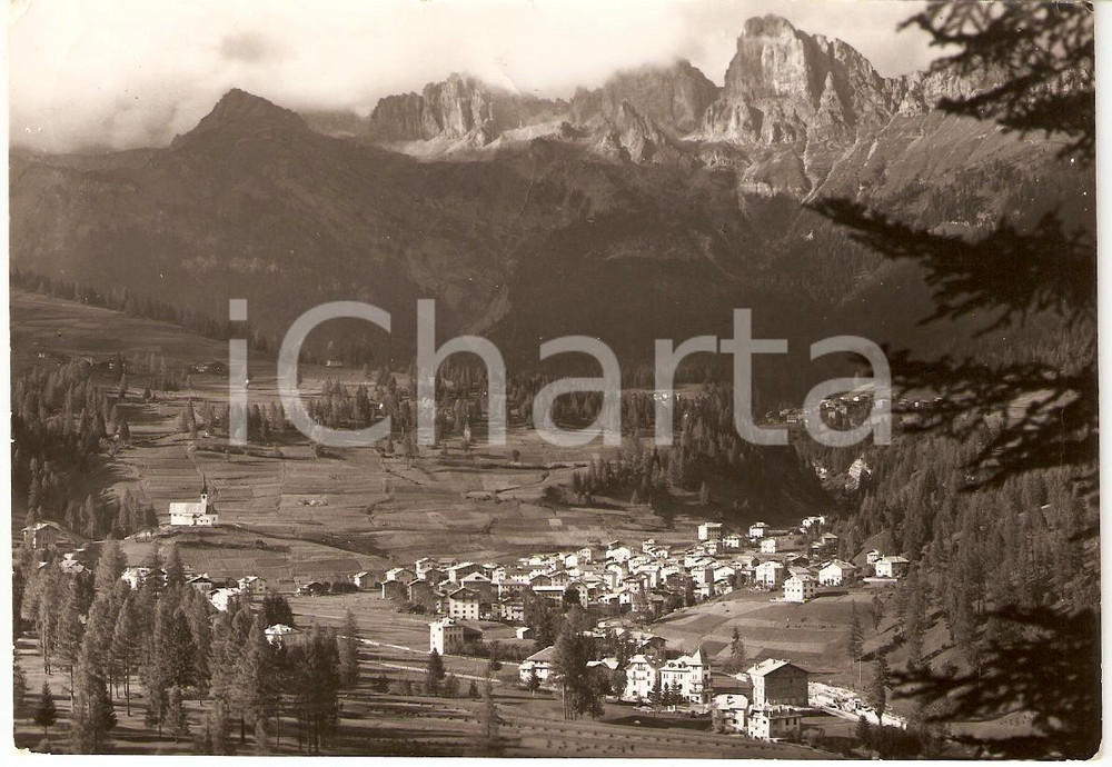 Cartolina originale da collezione 1955 FALCADE (BL) Frazione CAVIOLA con CIME D'AUTA Panorama *Cartolina FG VG 1