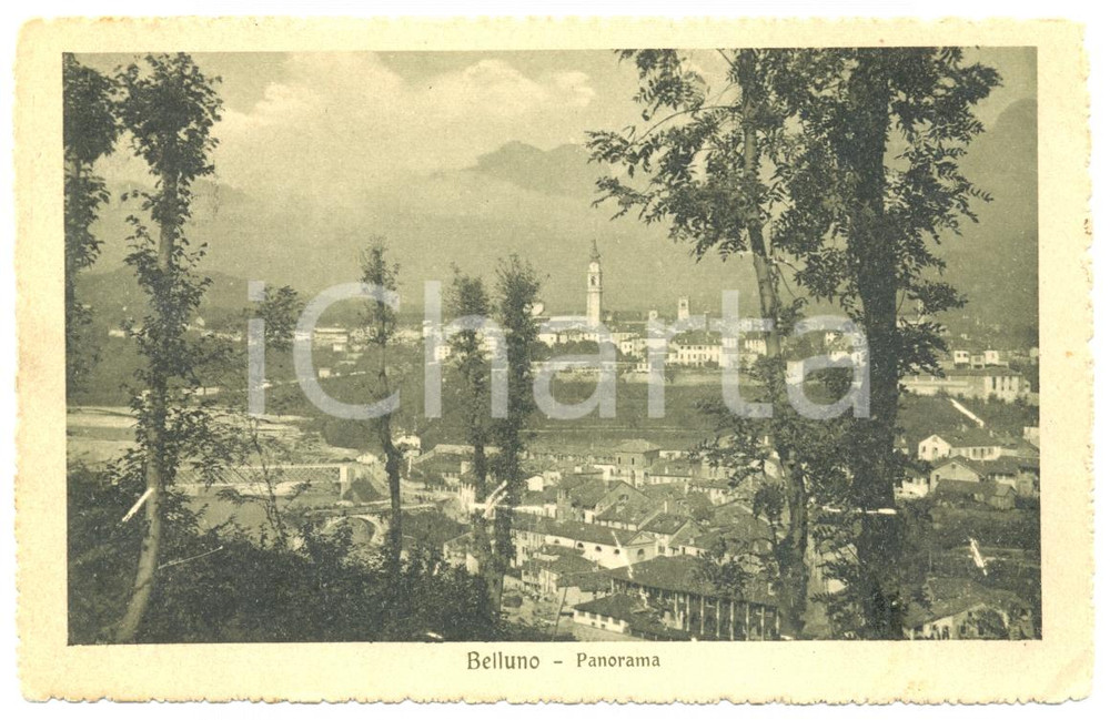 Cartolina originale da collezione 1915 BELLUNO Veduta panoramica Cartolina postale FP VG 1