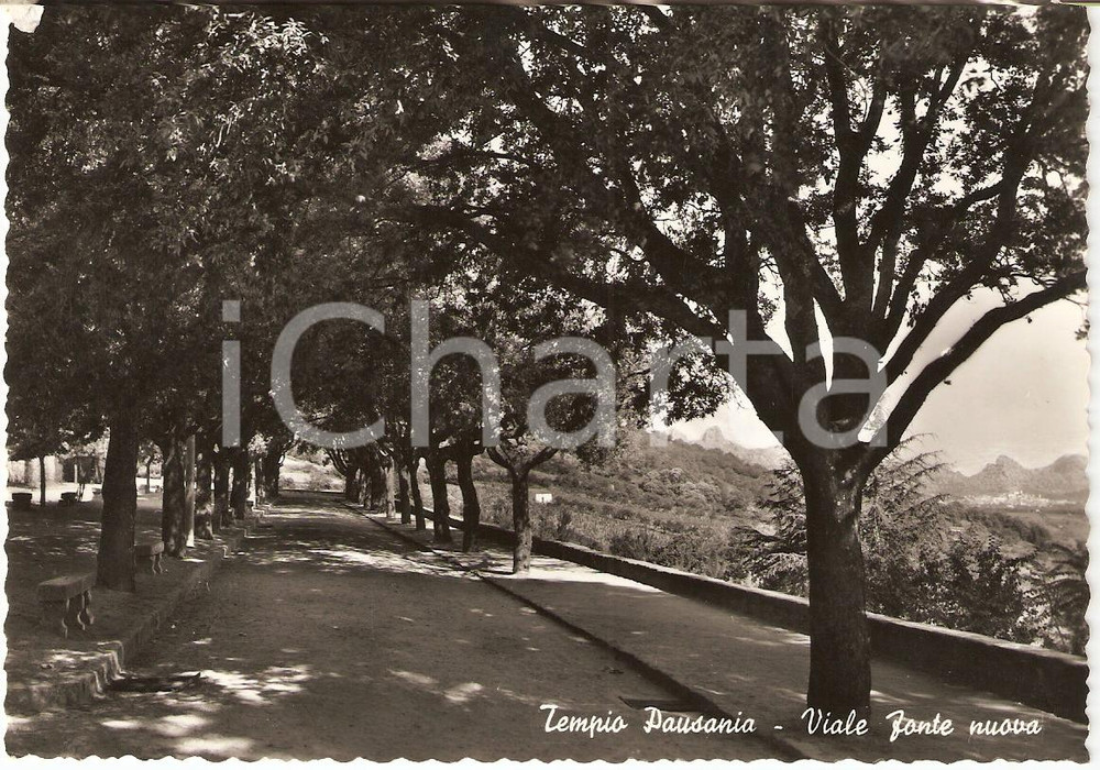 Cartolina originale da collezione 1958 TEMPIO PAUSANIA OT VIALE FONTE NUOVA Cartolina FG VG 1