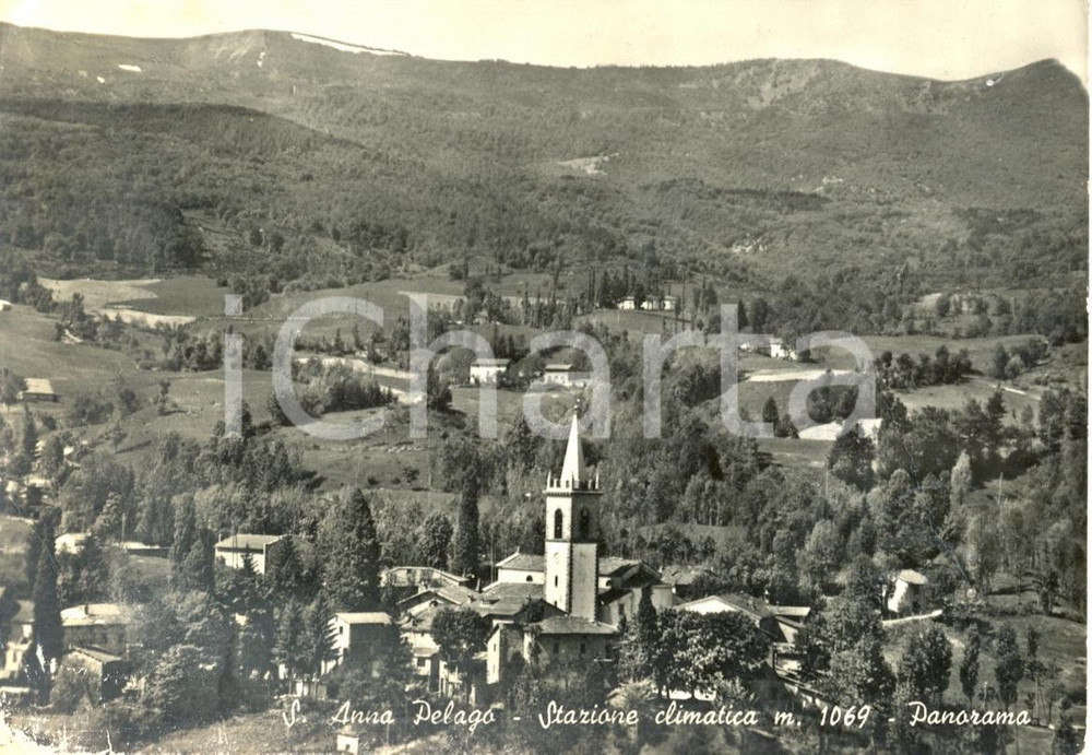 Cartolina originale da collezione 1964 SANT'ANNA PELAGO (MO) Stazione climatica - Panorama *Cartolina FG VG 1
