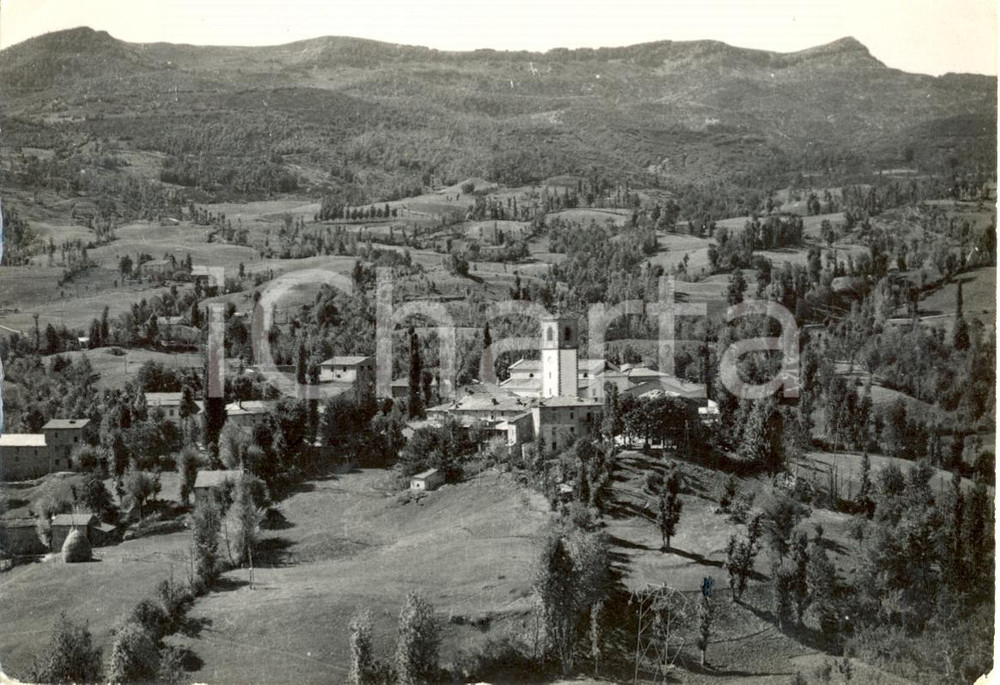 Cartolina originale da collezione 1955 SANT'ANNA PELAGO (MO) Stazione climatica - veduta generale *Cartolina FG VG 1