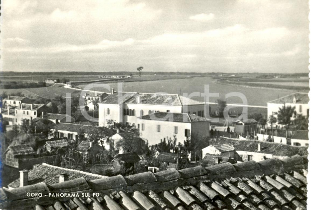 Cartolina originale da collezione 1951 GORO FE Panorama sul Po Cartolina postale FG NV 1
