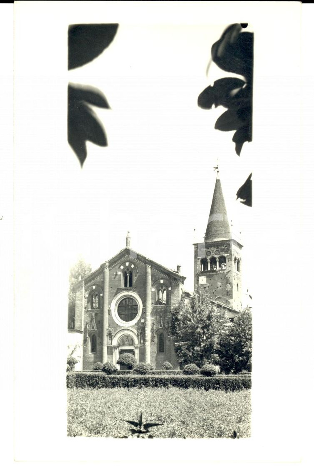 Fotografia d'epoca originale 1946 Abbazia di MORIMONDO (MI) Veduta della facciata in primavera *Fotografia FP 1