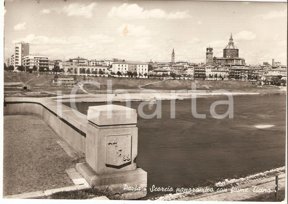 Cartolina originale da collezione 1960 ca PAVIA Scorcio panoramico con TICINO Cartolina FG VG 1