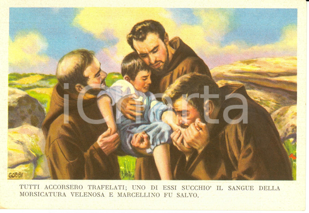 Cartolina originale da collezione 1955 ca MARCELLINO PANE E VINO ill. Dario Gobbi MARCELLINO E IL MORSO VELENOSO 1