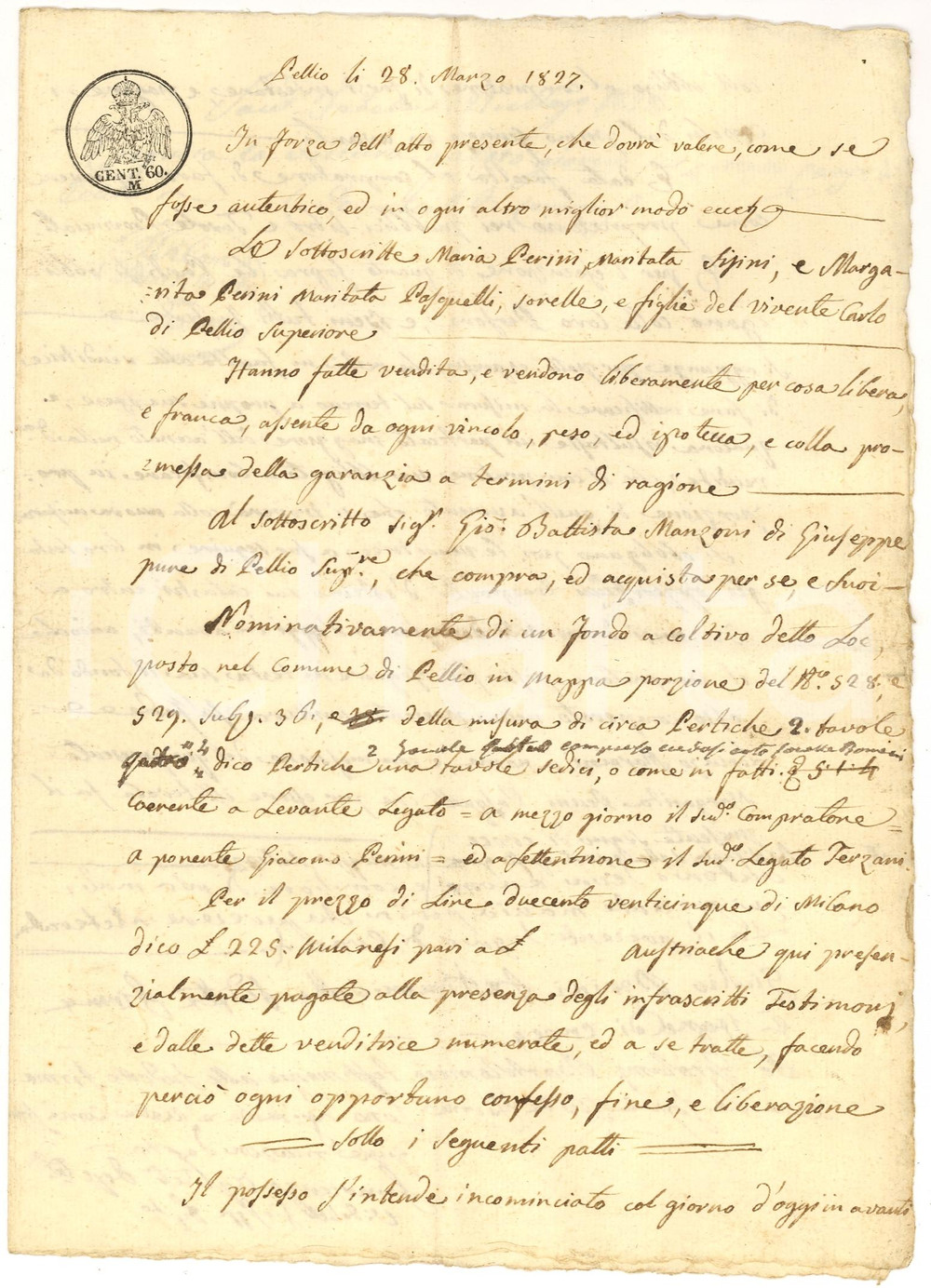 Documento originale, autentico 1827 PELLIO INTELVI (CO) Vendita fondo coltivo PERINI 1