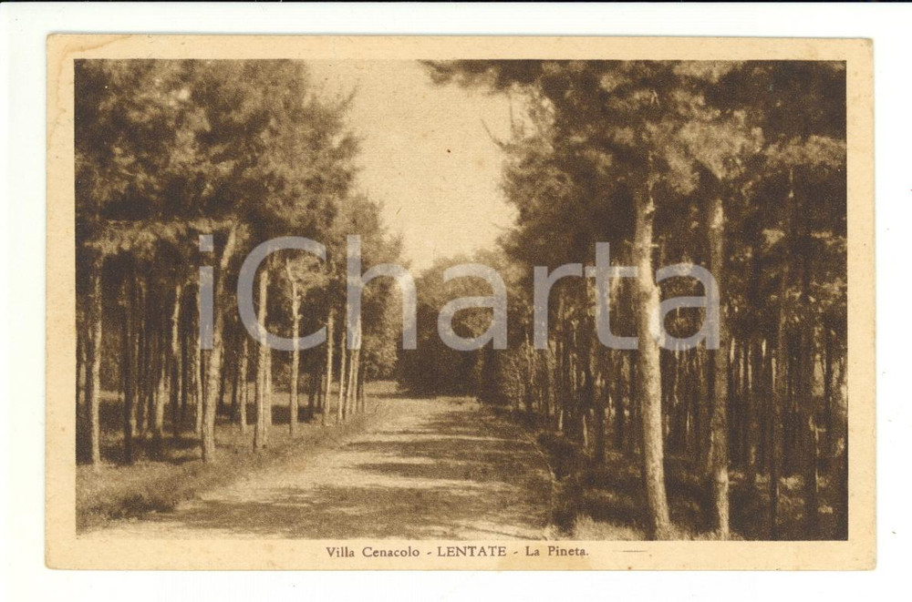 Cartolina originale da collezione 1934 Lentate sul Seveso *Villa Cenacolo, la pineta 1