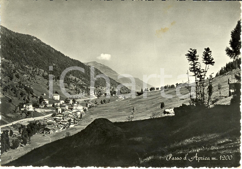 Cartolina originale da collezione 1954 APRICA SO Veduta panoramica del passo Cartolina FG VG 1