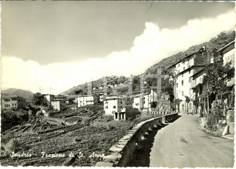 Cartolina originale da collezione 1963 SONDRIO Veduta della frazione di SANT ANNA   Cartolina FG VG 1