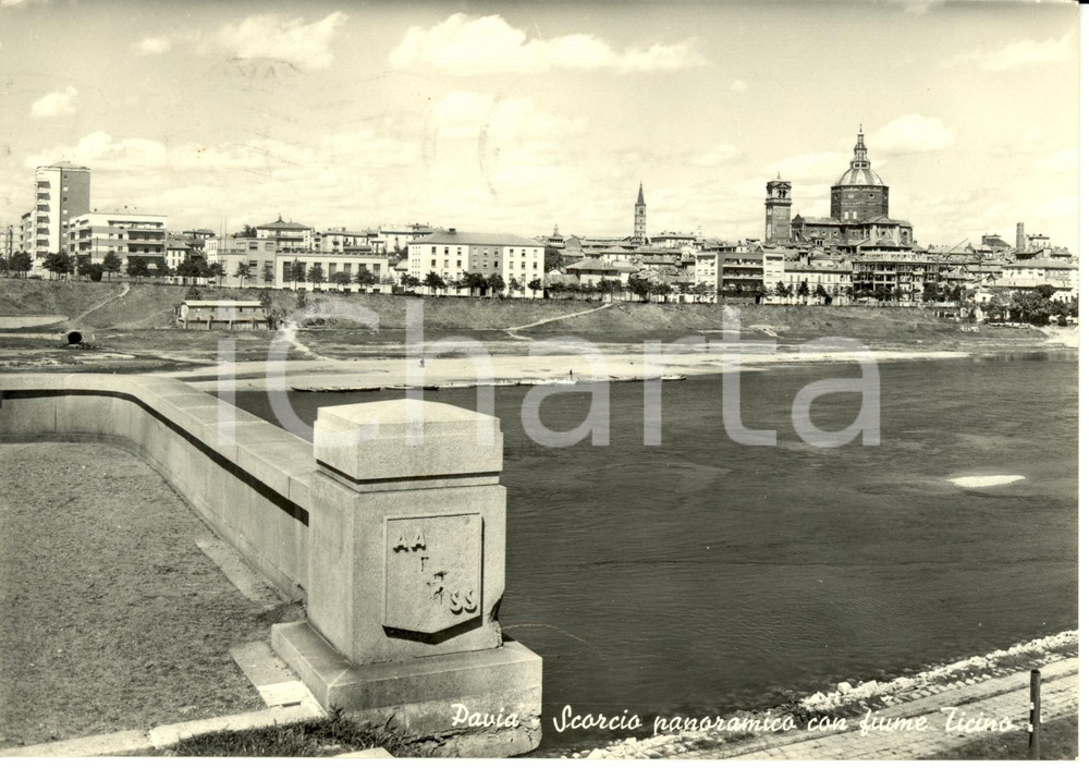 Cartolina originale da collezione 1956 PAVIA Scorcio panoramico con fiume TICINO * Cartolina FG VG 1