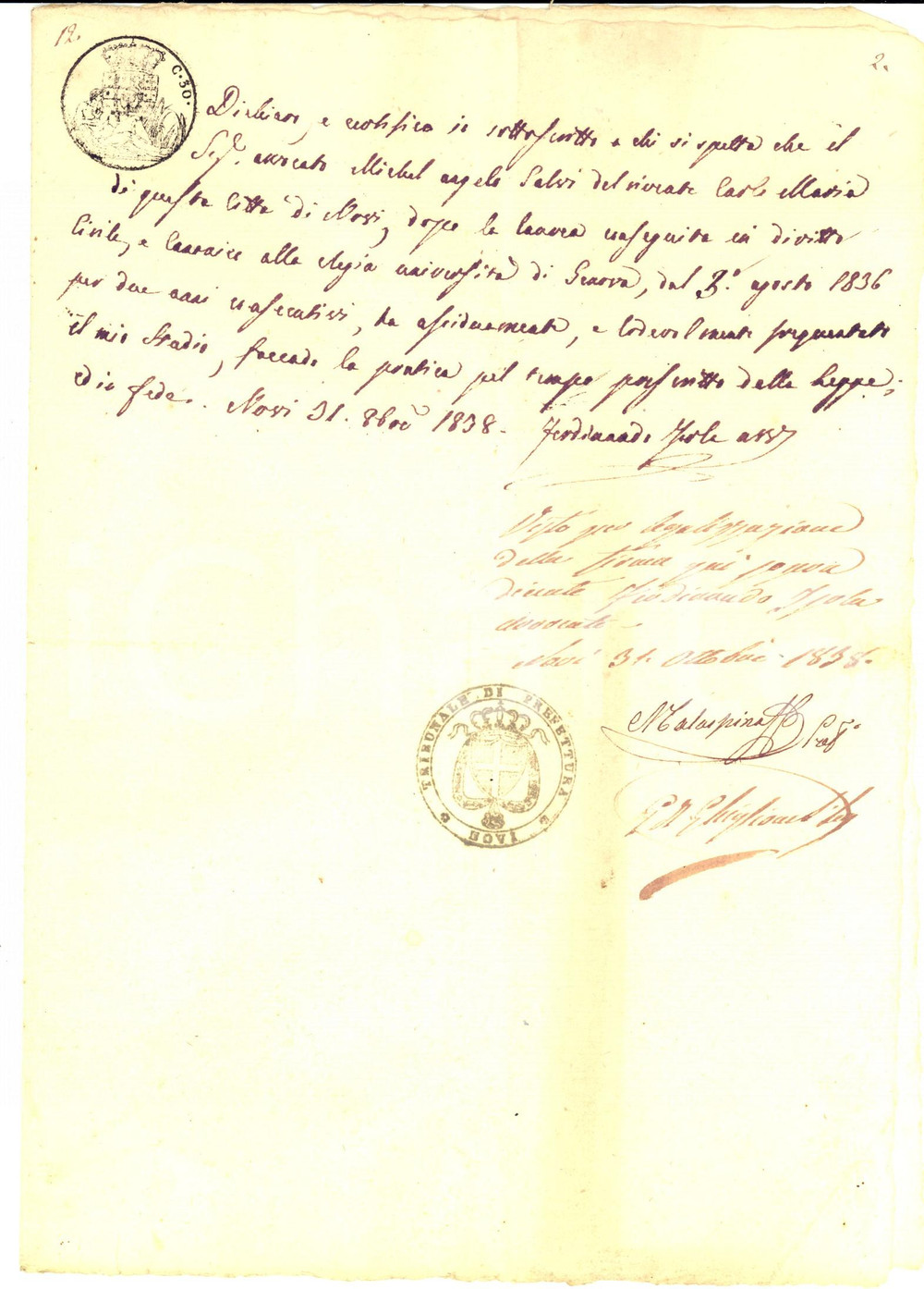 Documento originale, autentico 1838 NOVI LIGURE Ferdinando ISOLA certifica praticantato Michelangelo SALVI 1