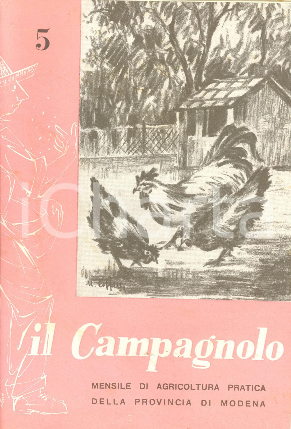 Giornale, rivista storica 1960 MODENA IL CAMPAGNOLO La XXII Fiera del lavoro e della produttivitÃ  *NÂ° 5 1