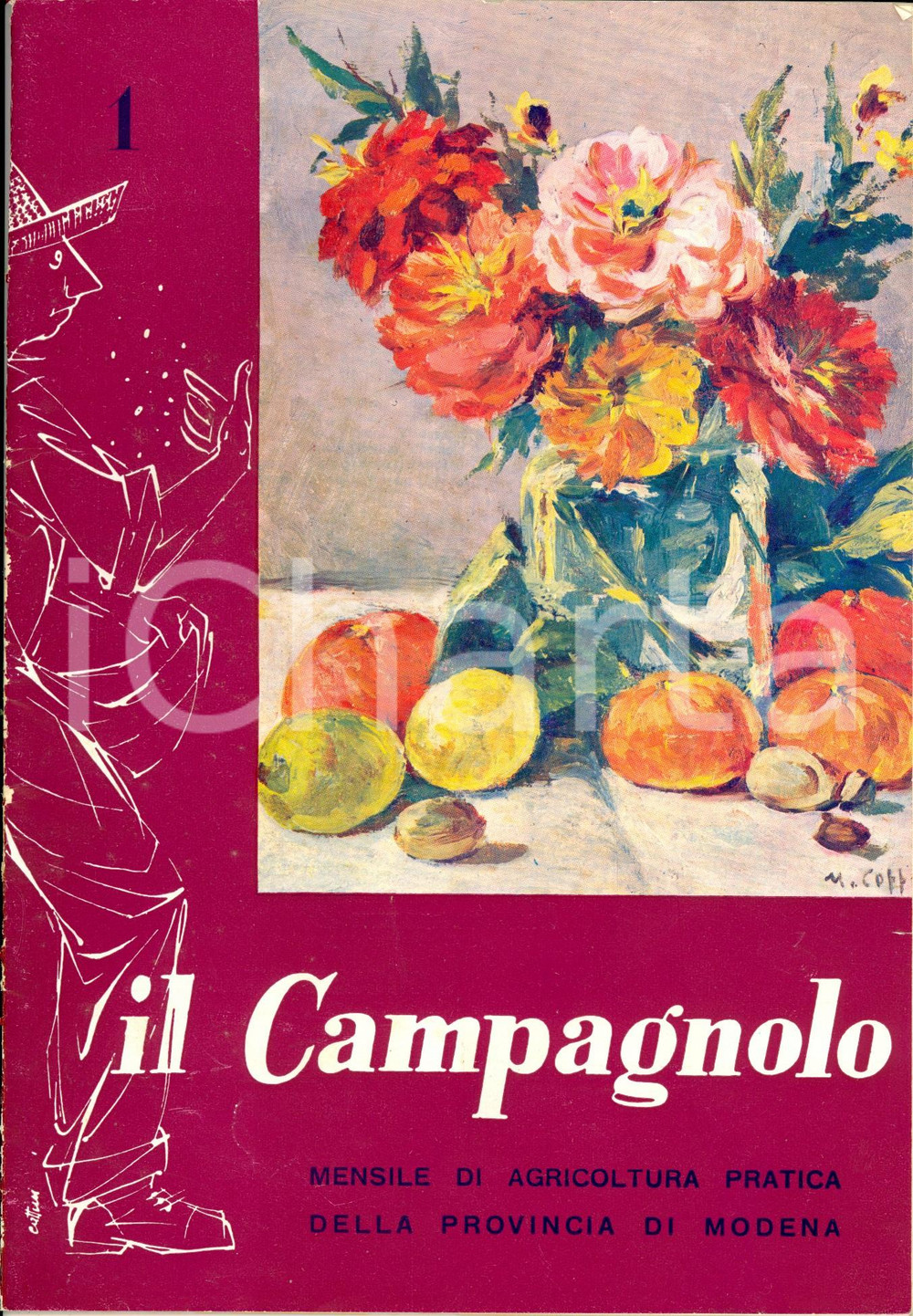 Giornale, rivista storica 1961 MODENA IL CAMPAGNOLO Contributi dalla legge per la montagana *Rivista NÂ° 1 1