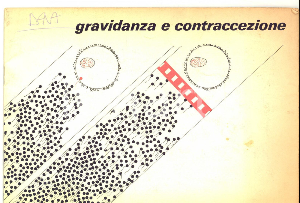 Materiale pubblicitario d’epoca 1980 ca SEVESO MB Gravidanza e contraccezione Opuscolo 24 pp. ILLUSTRATO 1