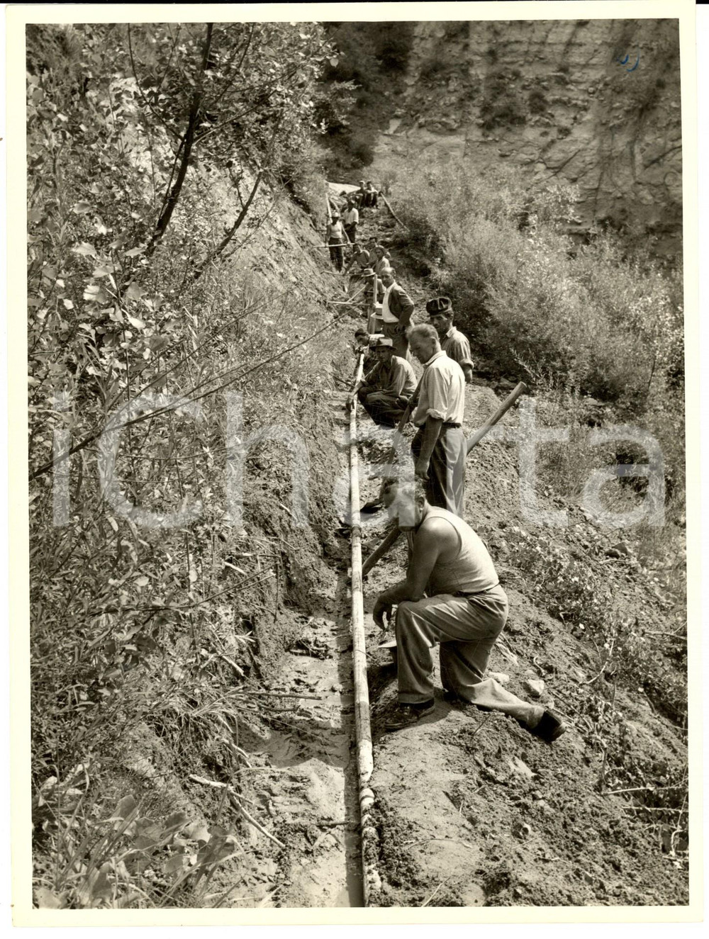 Fotografia d epoca originale 1960 ca SAGLIANO PV Operai in un terreno danneggiato dal maltempo Foto 1